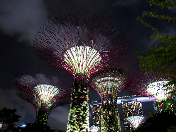 Gardens by the Bay le soir - SIngapour