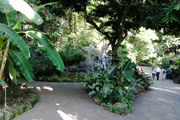 Jardin botanique de Singapour