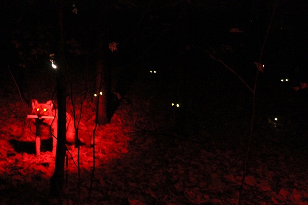 Loups-garous - De quoi ne plus jamais avoir envie de se balader dans une forêt un soir d’octobre!