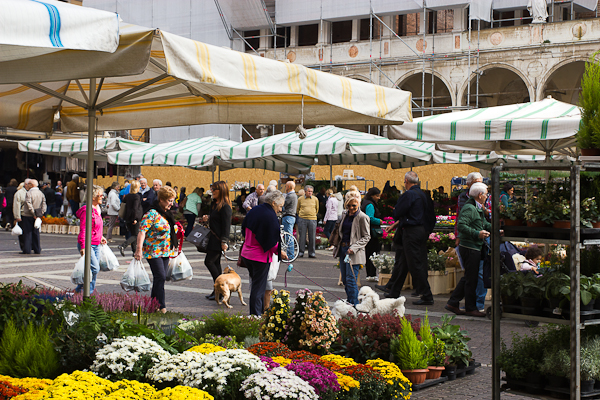 Marché aux fleurs - Cremona, Lombardie, Italie