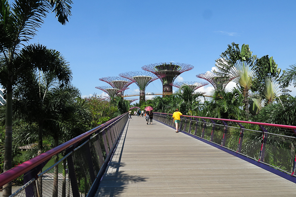 Promenade dans les Gardens by the Bay