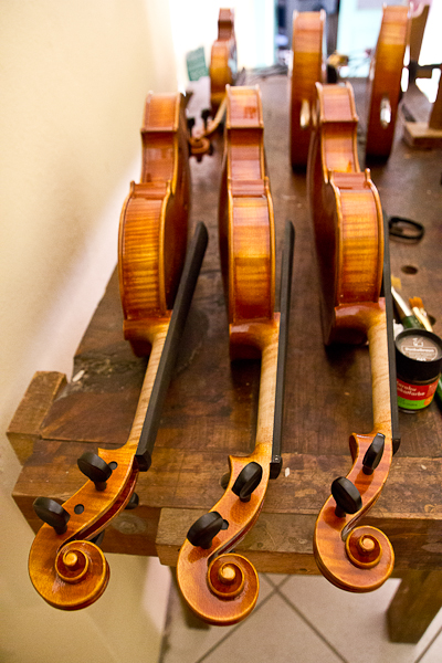 Violons terminés - Edgar Russ Luthier - Cremona, Lombardie, Italie