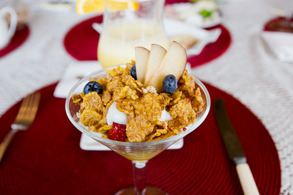 Déjeuner yogourt et fruits - Domaine de la Baie - Shawinigan, Mauricie