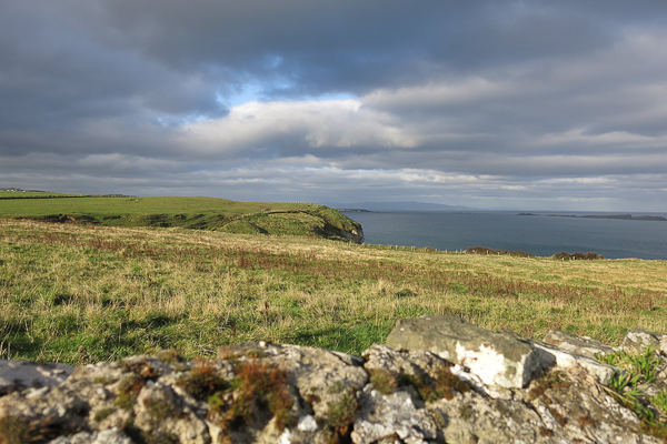 Giant’s Causeway - Chaussée des géants - Irlande