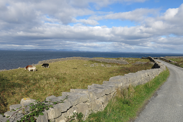 Inis Mor à vélo - Irlande