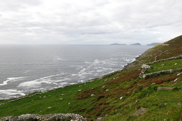 Mer - Dingle Peninsula - Irlande