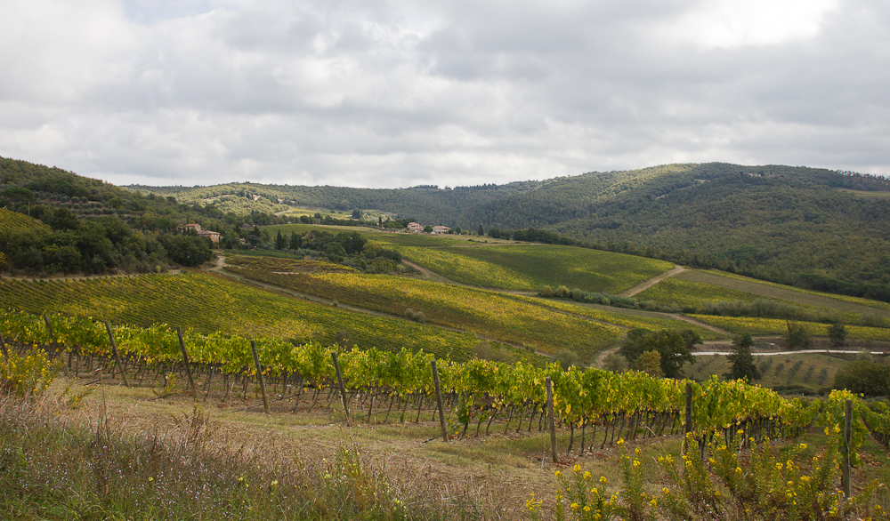 Panorama - Podere Il Falco - Toscane, Italie