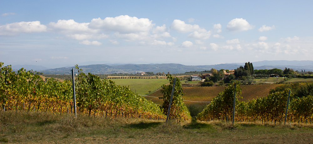 Paysage - Podere Il Falco - Toscane, Italie