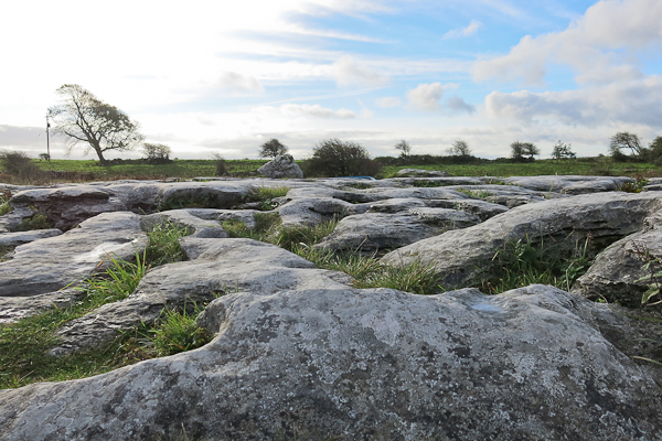 The Burren - Irlande (2)