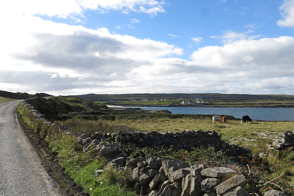 Vélo à Inis Mor Irlande