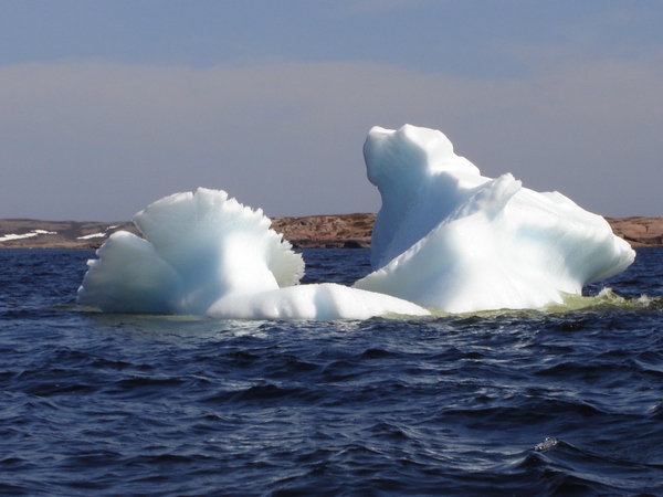 Iceberg en Basse-Côte-Nord