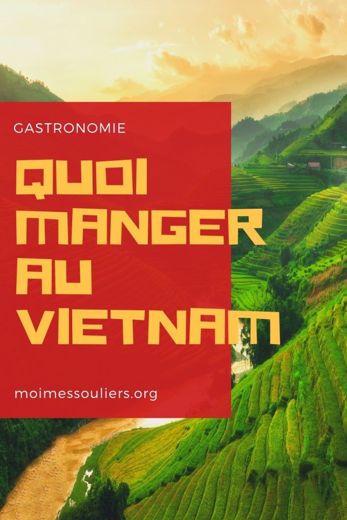 Quoi manger au Vietnam