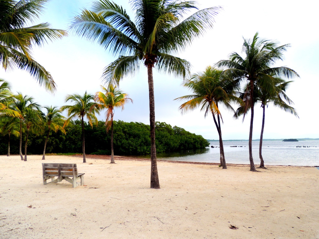 plage de Pennekamp park