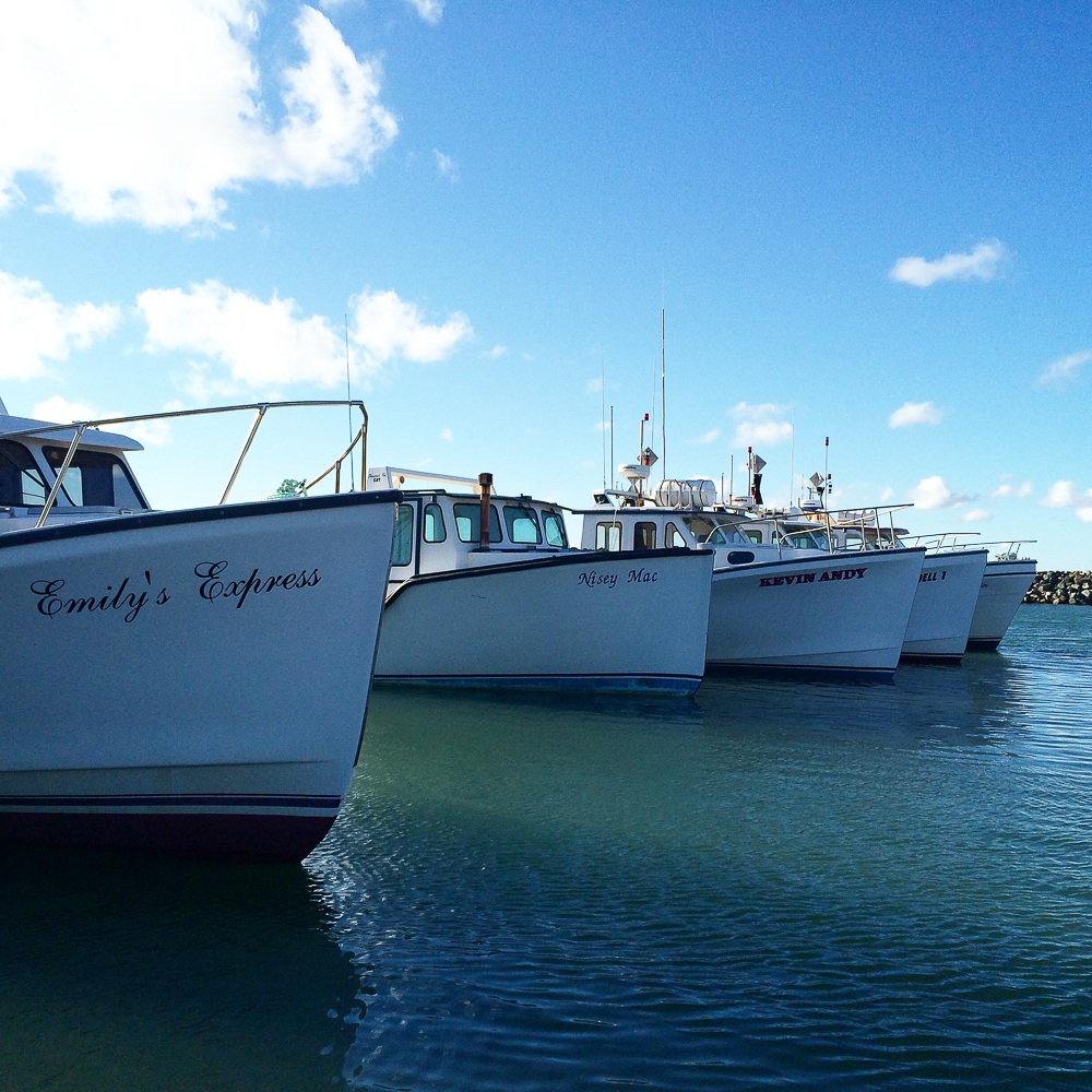 Au port - Îles-de-la-Madeleine