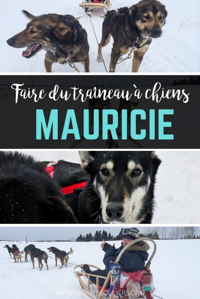 Faire du traîneau à chiens en Mauricie