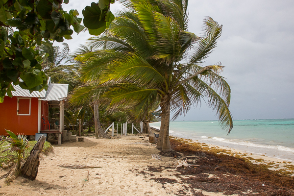 Little Corn Island - Nicaragua