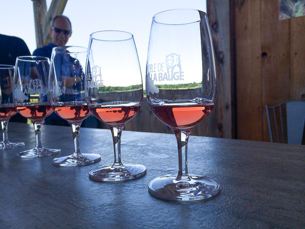 Dégustation plurisensorielle - Vignoble de La Bauge - Cantons de l'Est, Québec