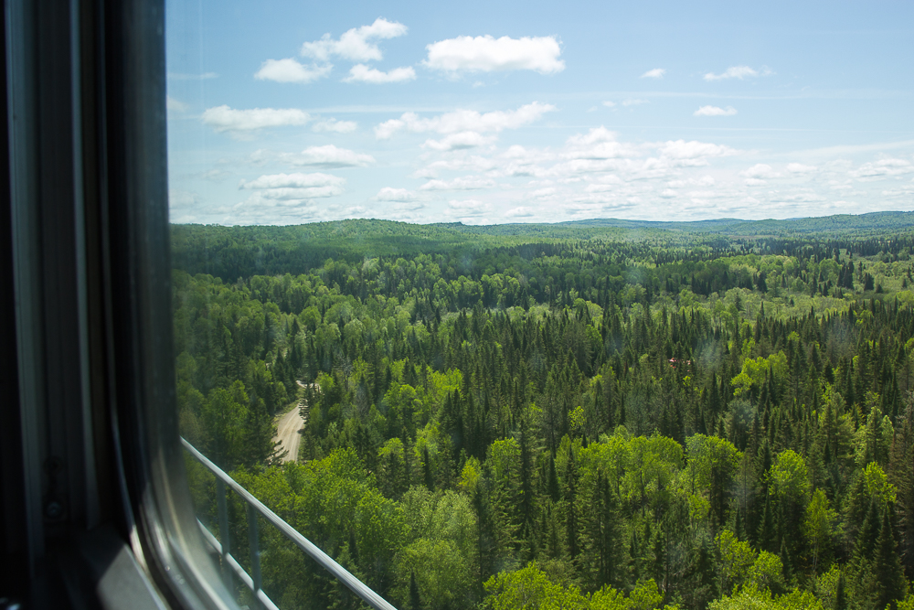 Forêt vue du train pour l'Abitibi-Témiscamingue