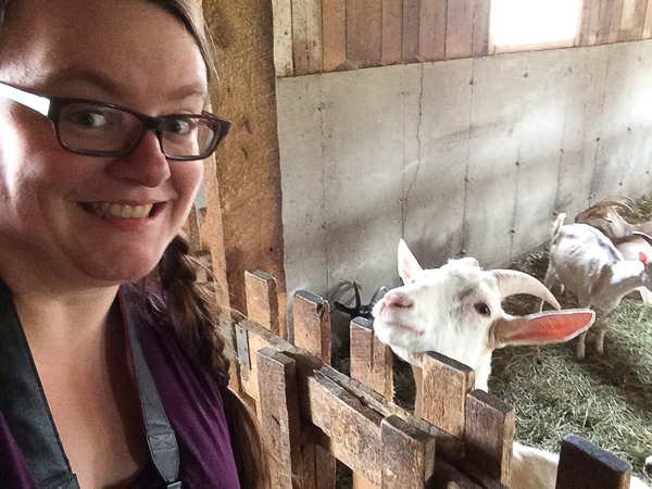 Selfie avec une chèvre - Chaudière-Appalaches