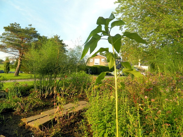 potager auberge & spa west brome