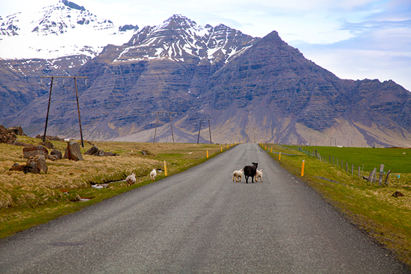 Route Islande