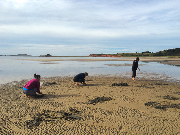 En pêchant les coques - Pointe-de-l'Est - Îles de la Madeleine