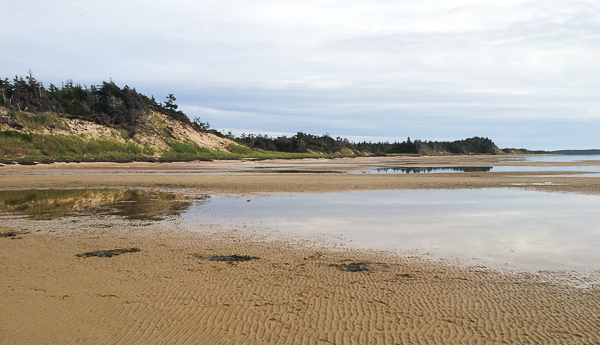 Plage - Pêche aux coques - Pointe-de-l'Est - Îles de la Madeleine