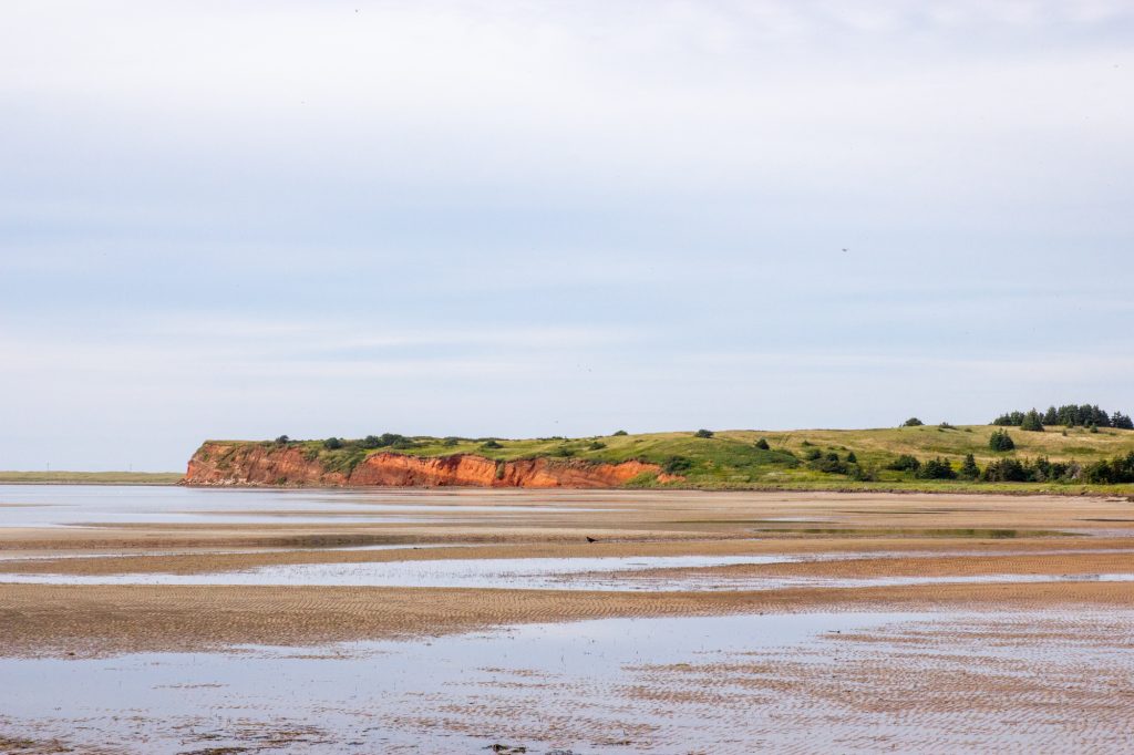 Marée basse parfaite pour la pêche aux mollusques aux îles de la Madeleine