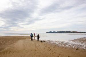 Pêche aux coques aux îles de la Madeleine