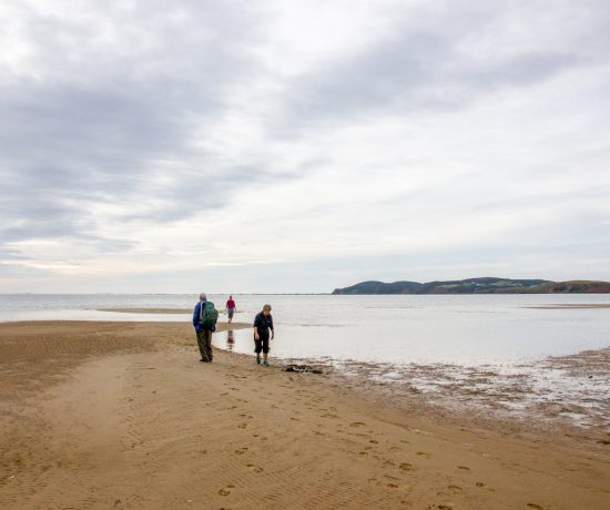 Pêche aux coques aux îles de la Madeleine