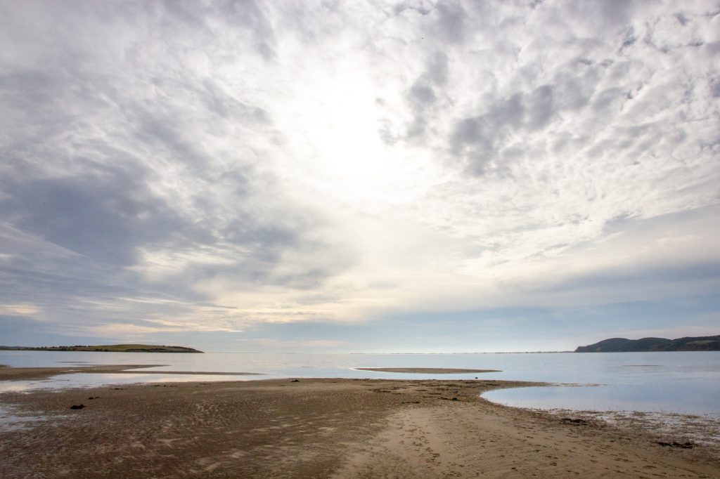 Platier à la pêche aux coques