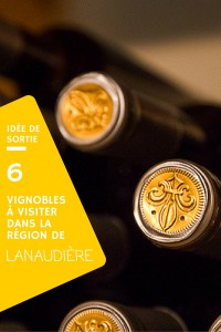 Idée de sortie - 6 vignobles de Lanaudière