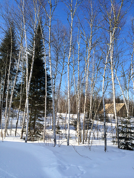 Parc national de la Mauricie - Parcs Canada - Tentes oTENTik (10 sur 22)