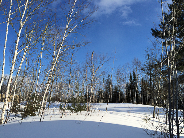 Parc national de la Mauricie - Parcs Canada - Tentes oTENTik (11 sur 22)