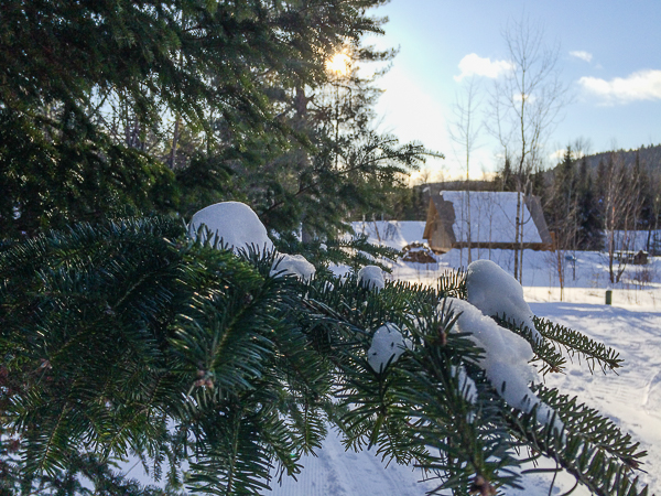 Parc national de la Mauricie - Parcs Canada - Tentes oTENTik (8 sur 22)