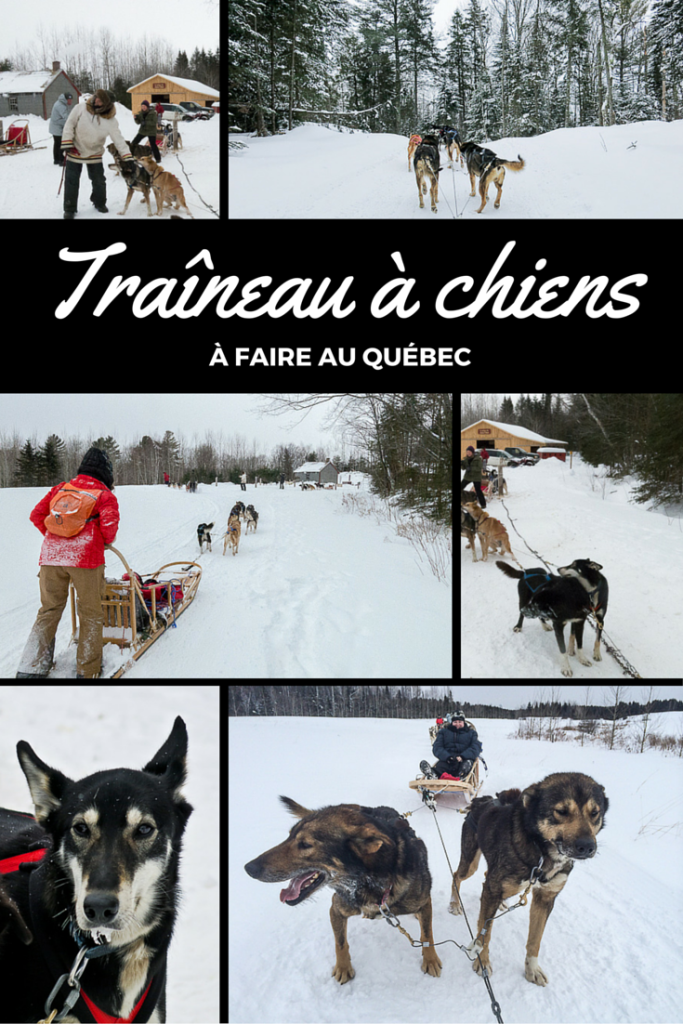 Traineau-a-chiens