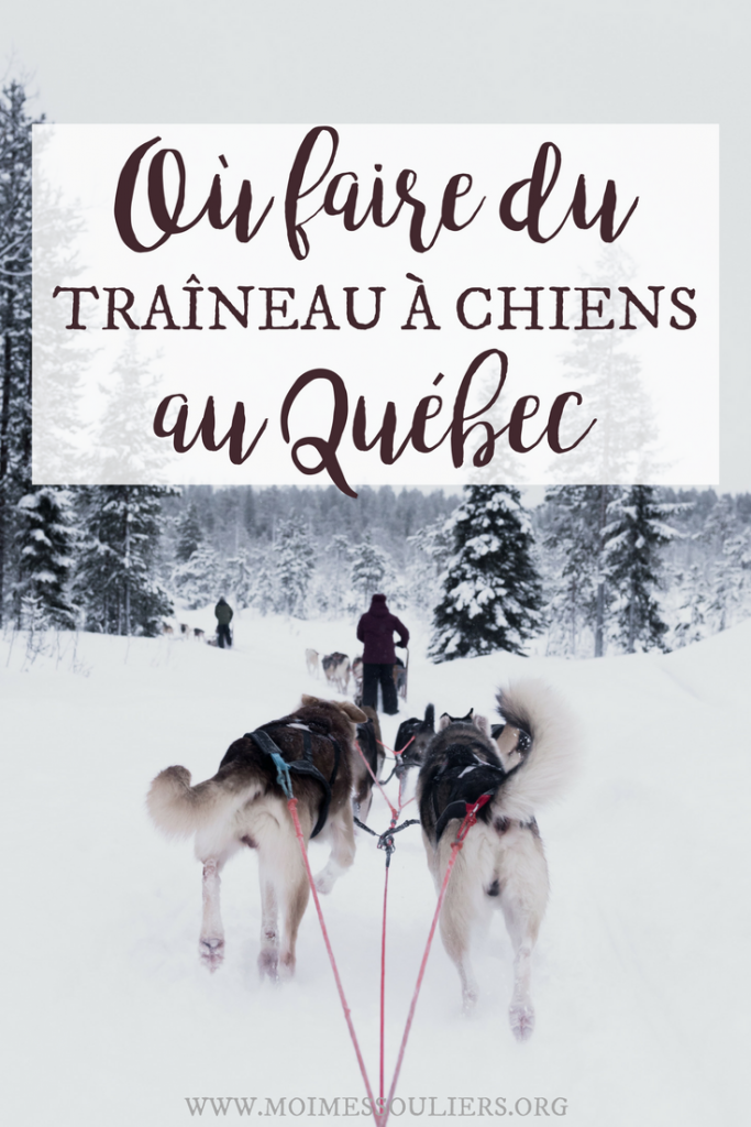 Traîneau à chiens en Mauricie - Où faire du chien de traineau au Québec