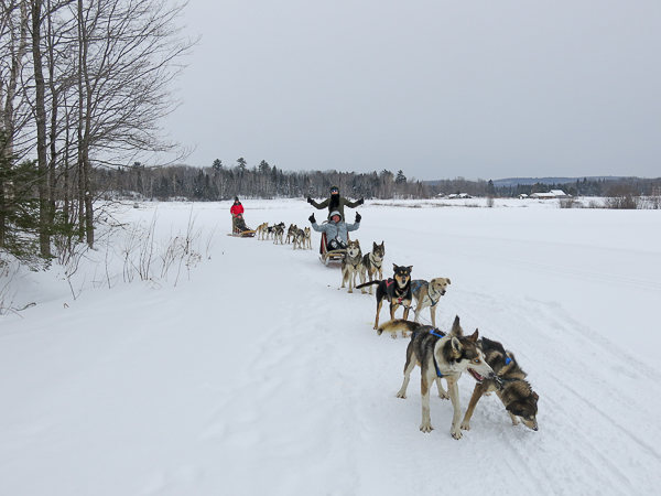 Traîneau à chiens - Mauricie - Le Baluchon (10 sur 18)