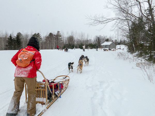 Traîneau à chiens - Mauricie - Le Baluchon (11 sur 18)