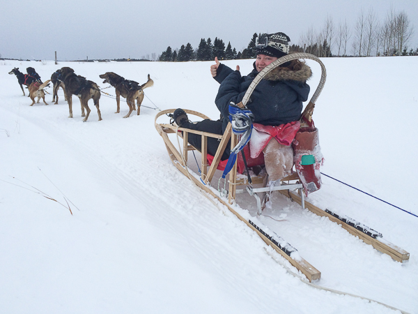 Traîneau à chiens - Mauricie - Le Baluchon (6 sur 18)