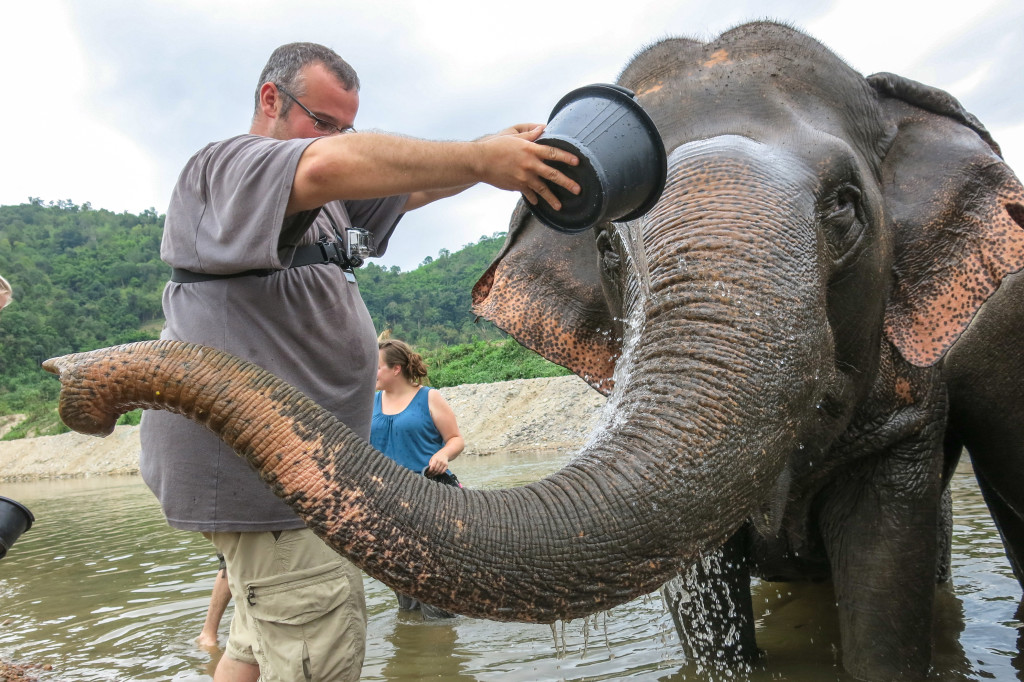 Baignade avec les éléphants