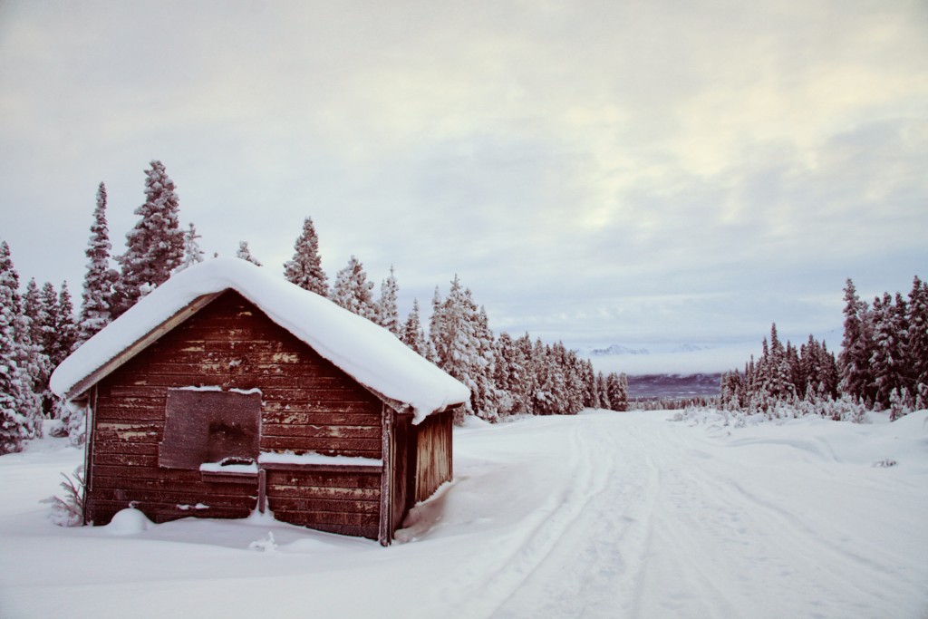 Cabane au Yukon - Émylie TM