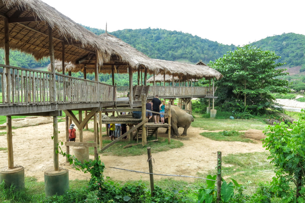 Elephant Nature Park