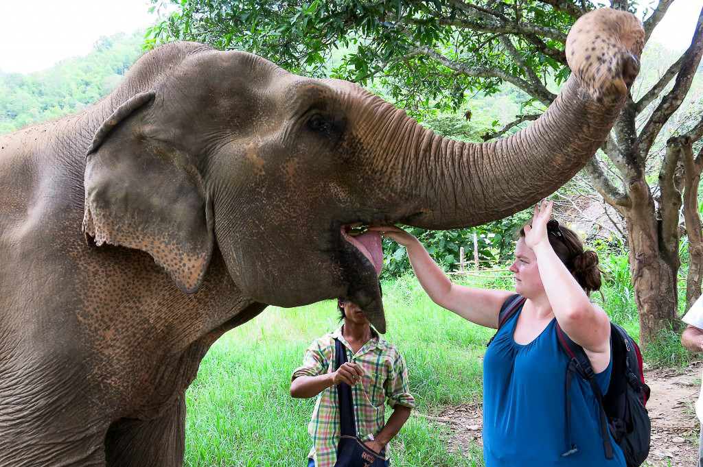 Jennifer qui nourrit un éléphant en Thaïlande