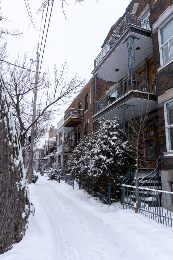 Rue de Villeray - Montréal, Québec, Canada-15