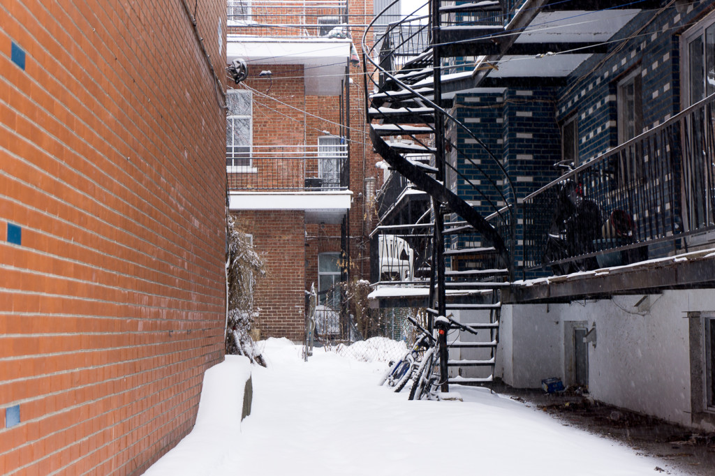 Ruelle de Villeray - Montréal, Québec, Canada-5