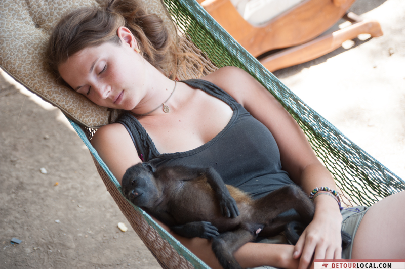 Alizé avec un singe au Costa Rica