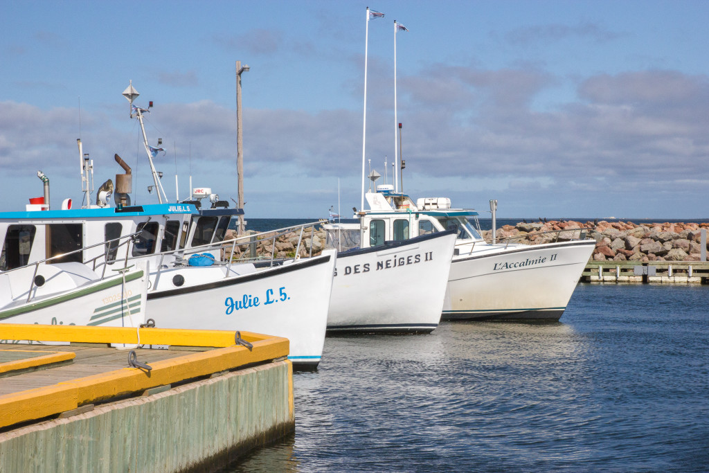 Bateaux au port - Iles de la Madeleine, Québec