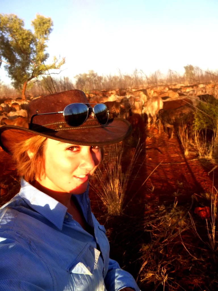 Madame Bougeotte dans l'Outback australien pour économiser