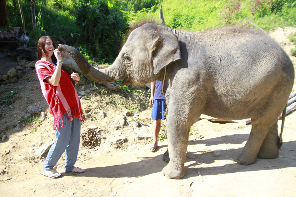 Éléphant en Thaïlande, Camille de l'Oiseau Rose